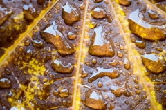 9_DSC04383